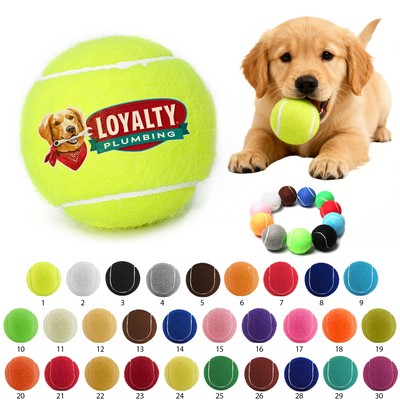 Full-color 2.5"D Pet Toy Fido's Dog Fetching Tennis Ball