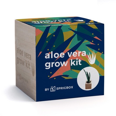 Aloe Vera Grow Kit | Solid Wood Planter Cube | Eco-Friendly